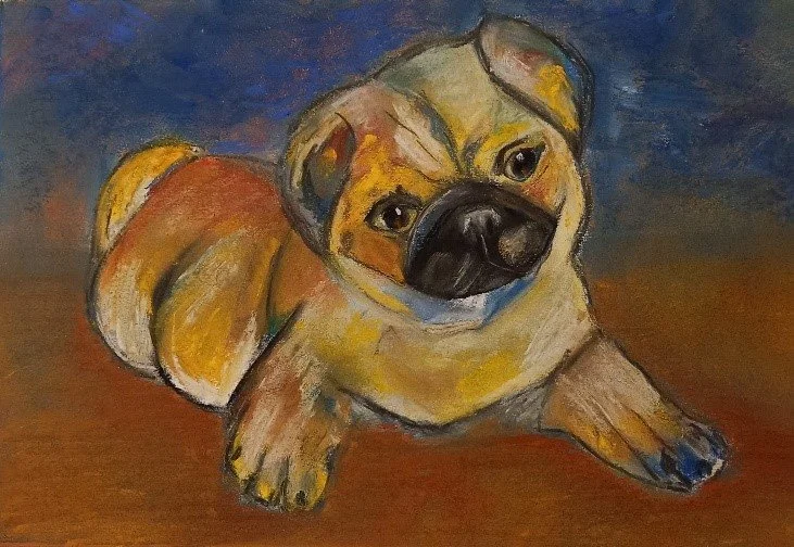 dog.jpg