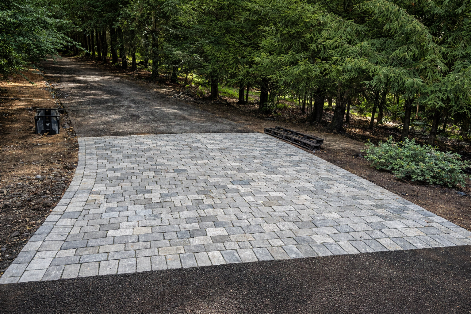 Partially paved pathway in a forest, with new gray stone bricks at the entrance, surrounded by trees and greenery.