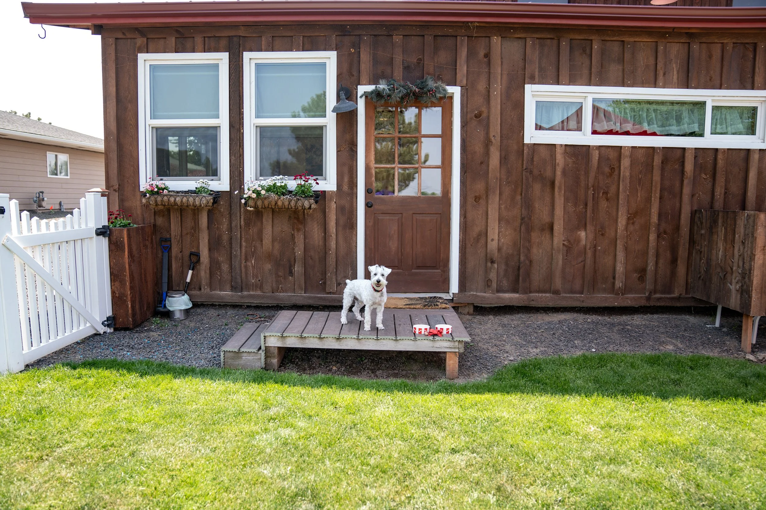 Small white dog standing on a wooden platform outside a brown wooden house, with a toy on the platform, in a yard with green grass.