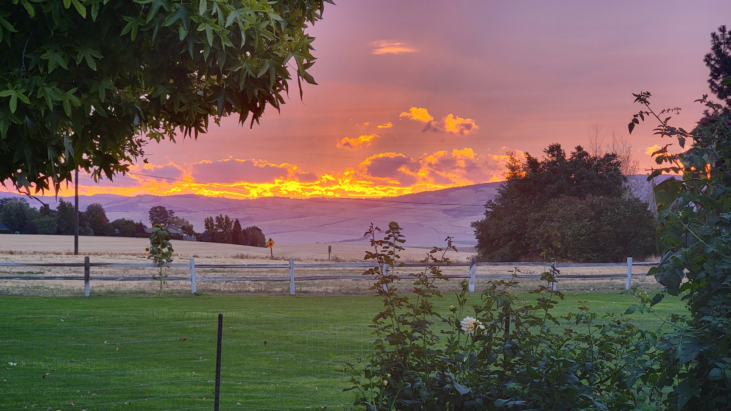 A scenic view of a sunset over farmland with trees, a white fence, and a green grassy area in the foreground.