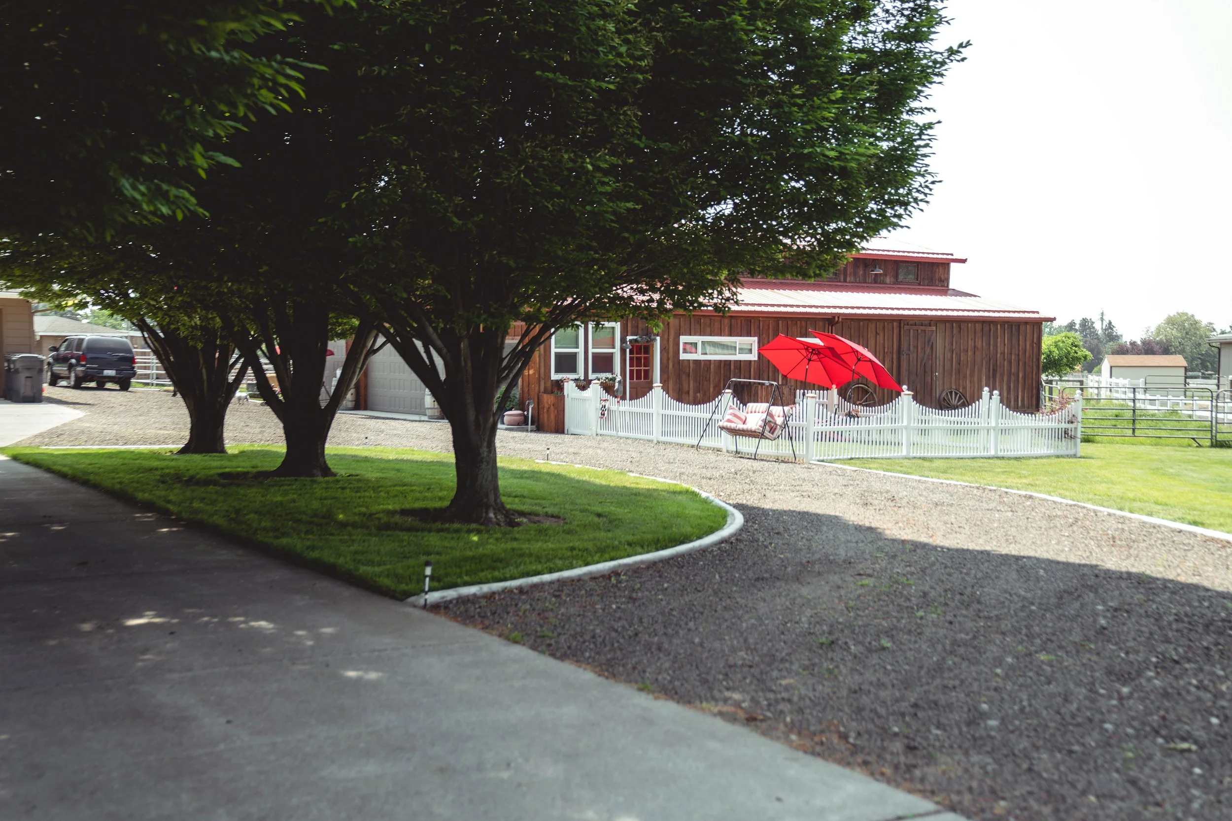 A rural scene with a wooden barn, white picket fence, and a white bench with a red umbrella and two cushioned seats in the yard. There are three large trees with lush green leaves in the foreground, and a gravel driveway leads to the barn. Some parke