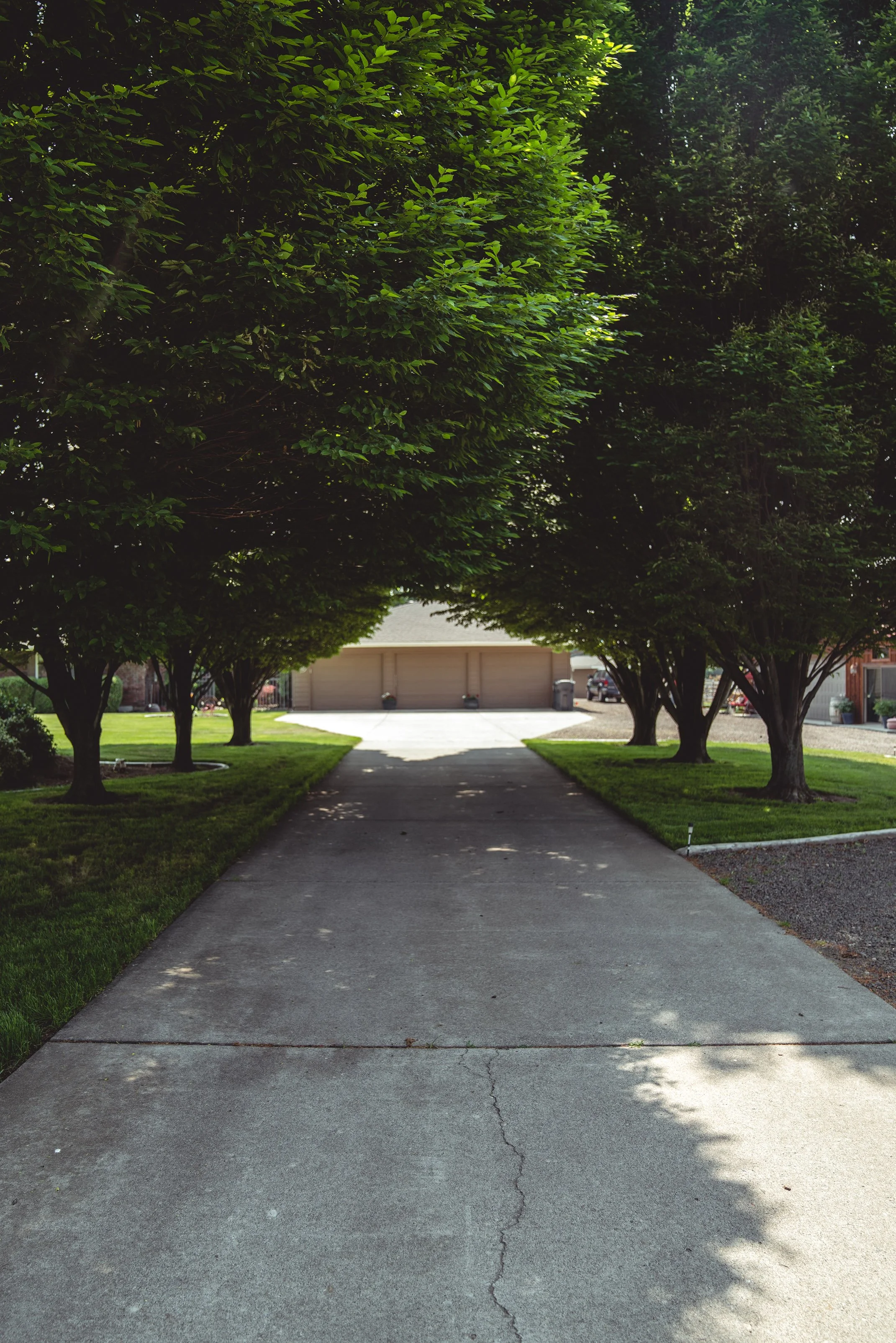 Driveway surrounded by green grass and trees, leading to a garage with cars parked outside.