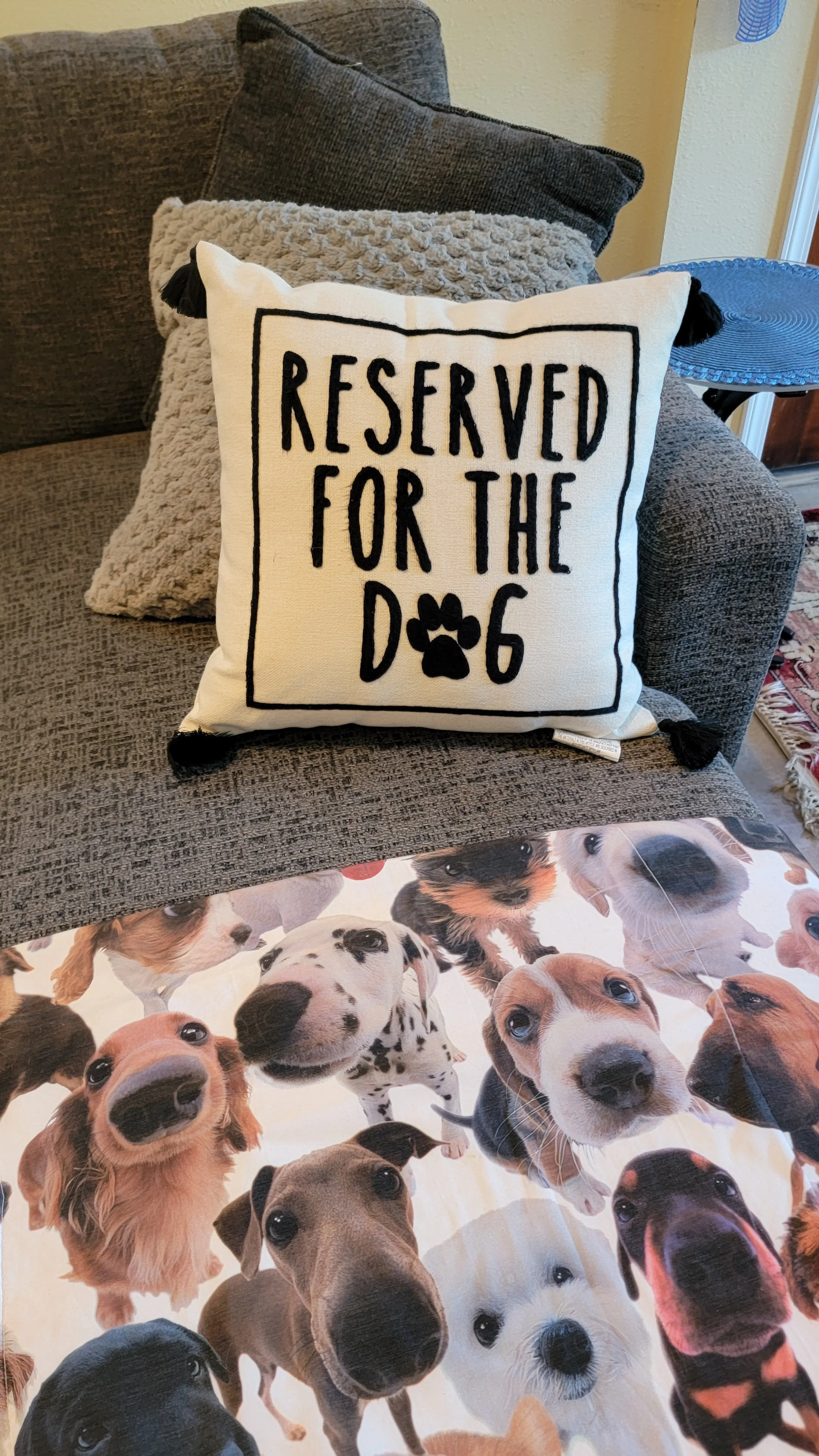 Decorative pillow on a sofa with the words "Reserved for the Dog" and a paw print. A table with a blue round top and a cloth with dog faces is in the foreground. Multiple pillows of different textures are on the sofa.