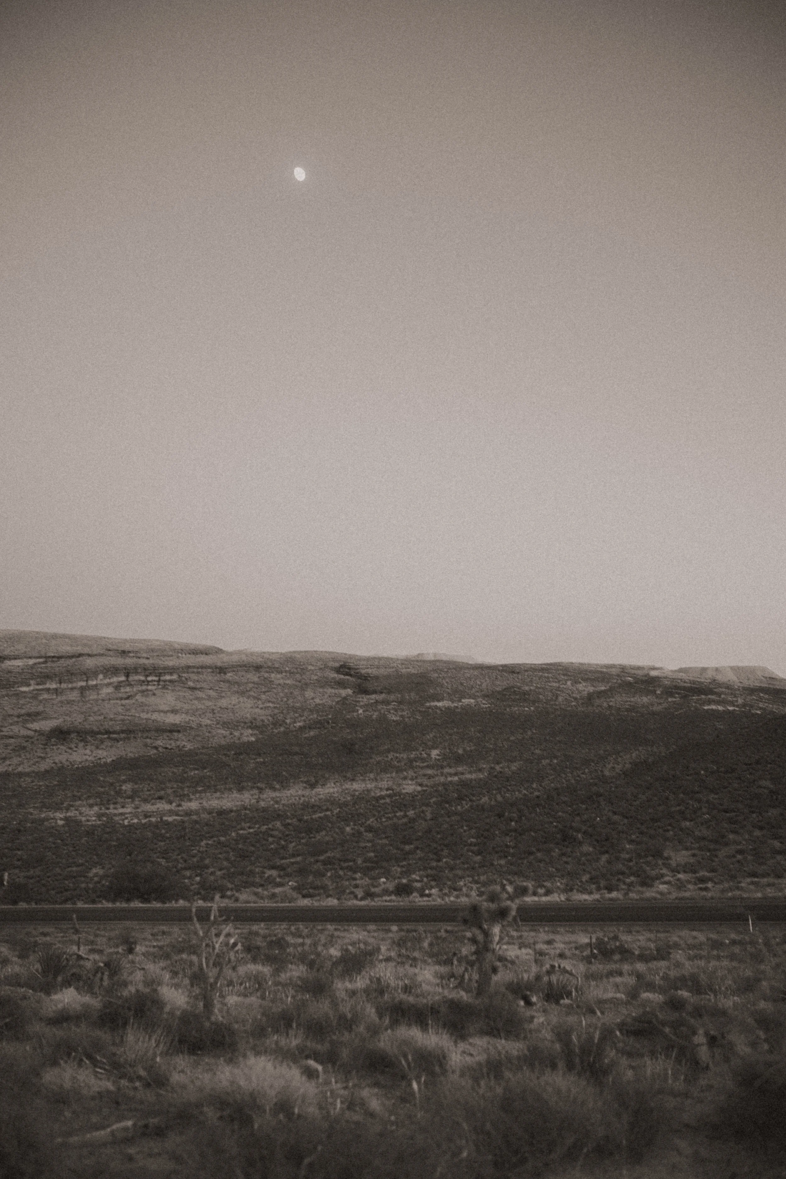 A black and white photo of a landscape with rolling hills, a single tree, a highway, and the moon in the sky.