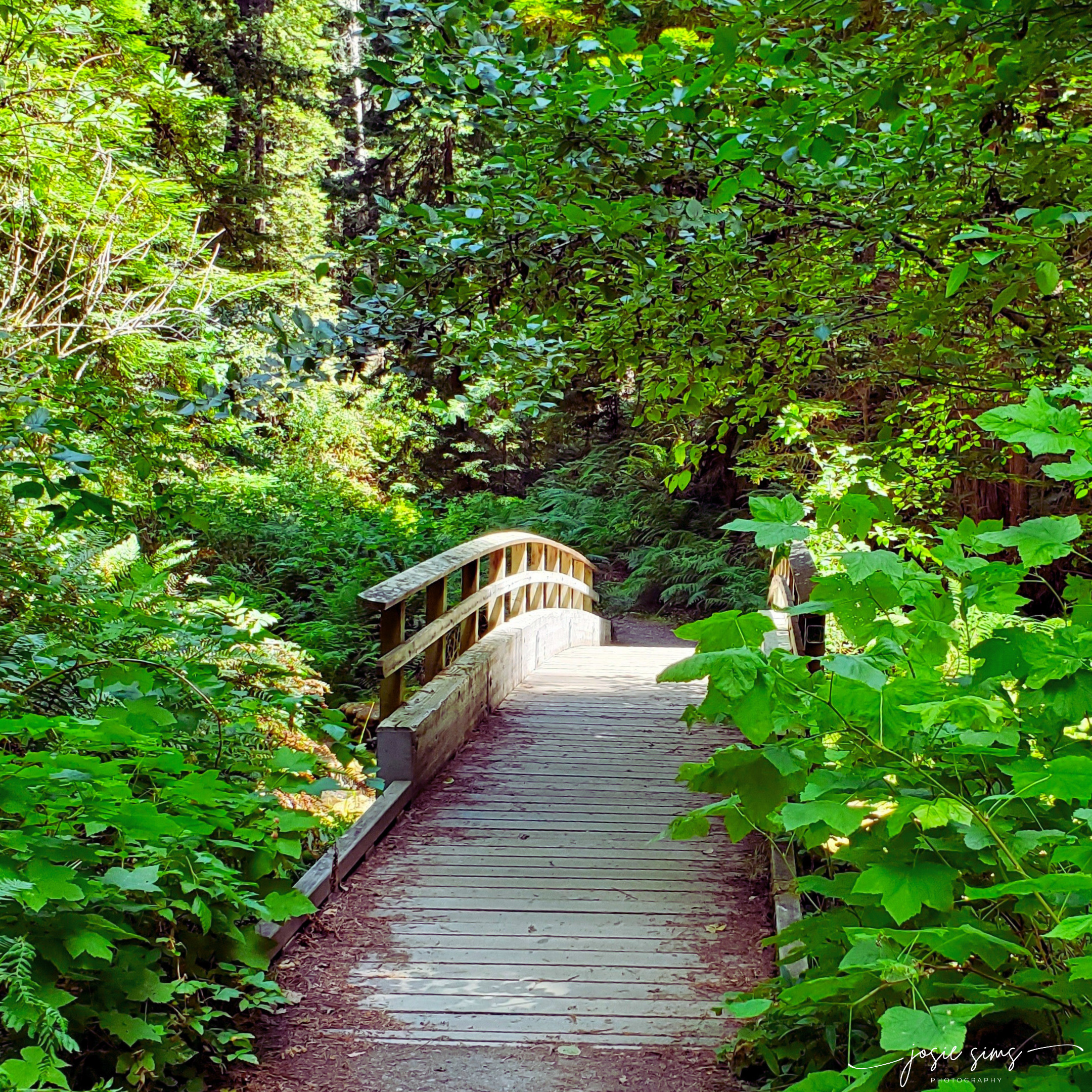 The Quiet Art of Beginning Again