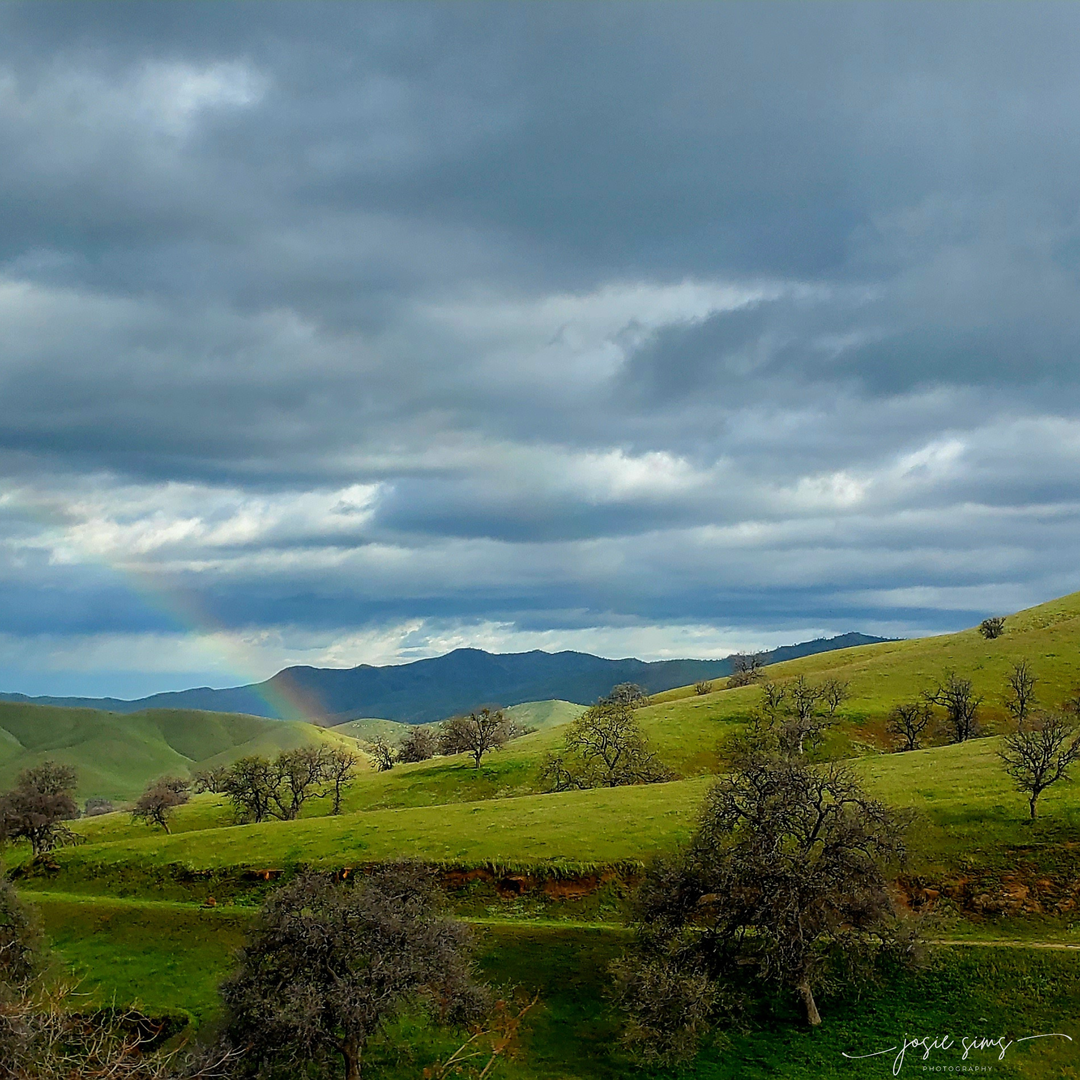 The Balance of Equal Light