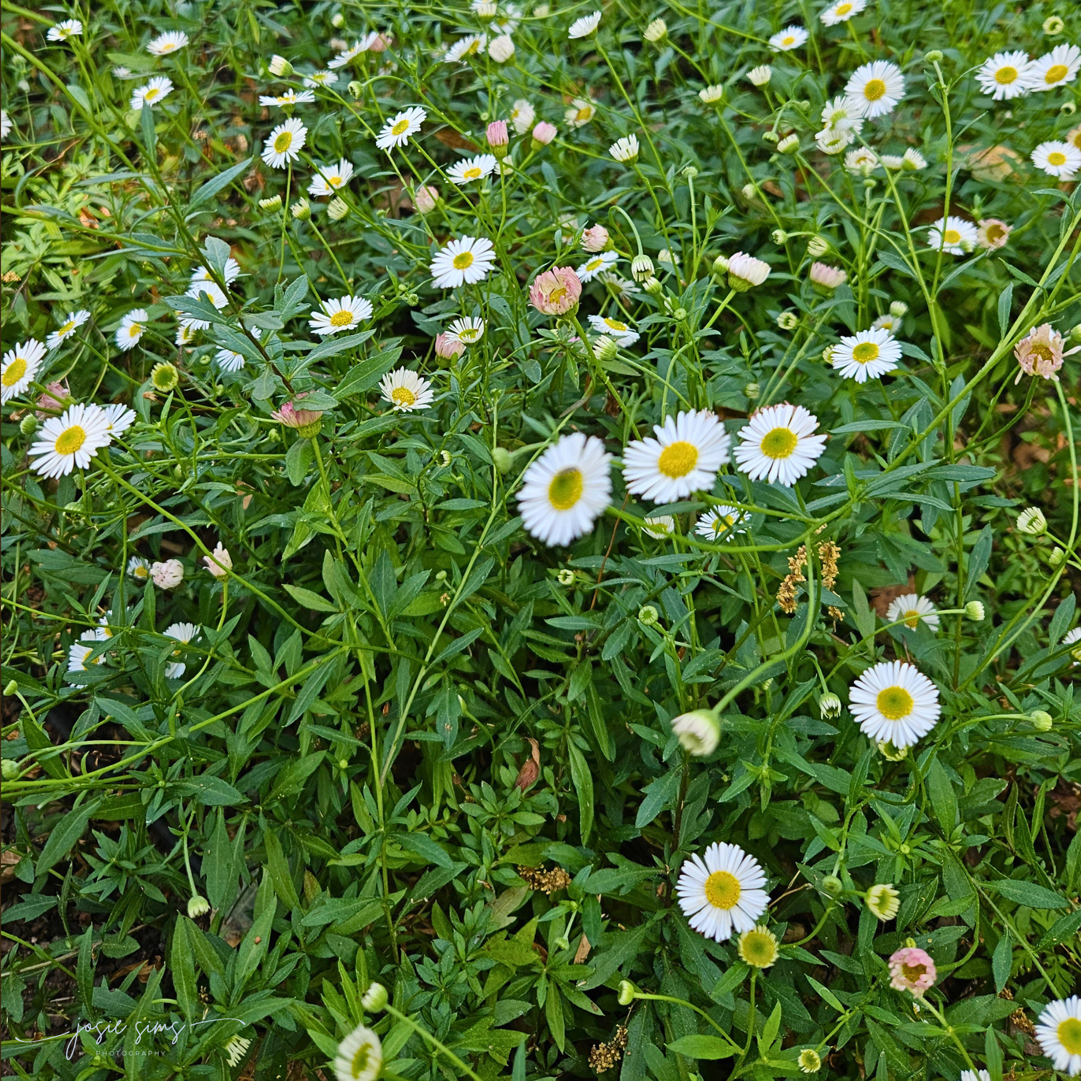 Trusting Gradual Progress