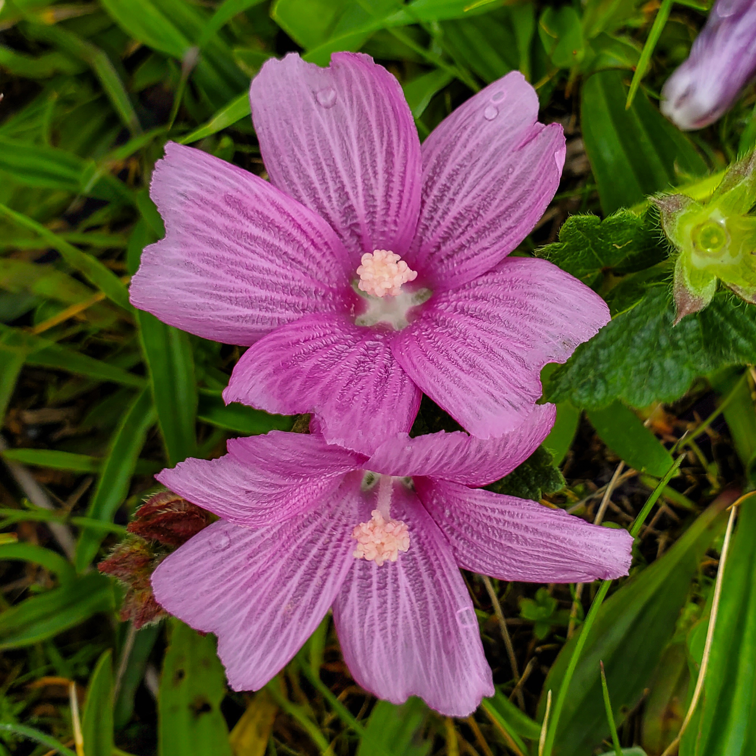 Renewal Without Urgency