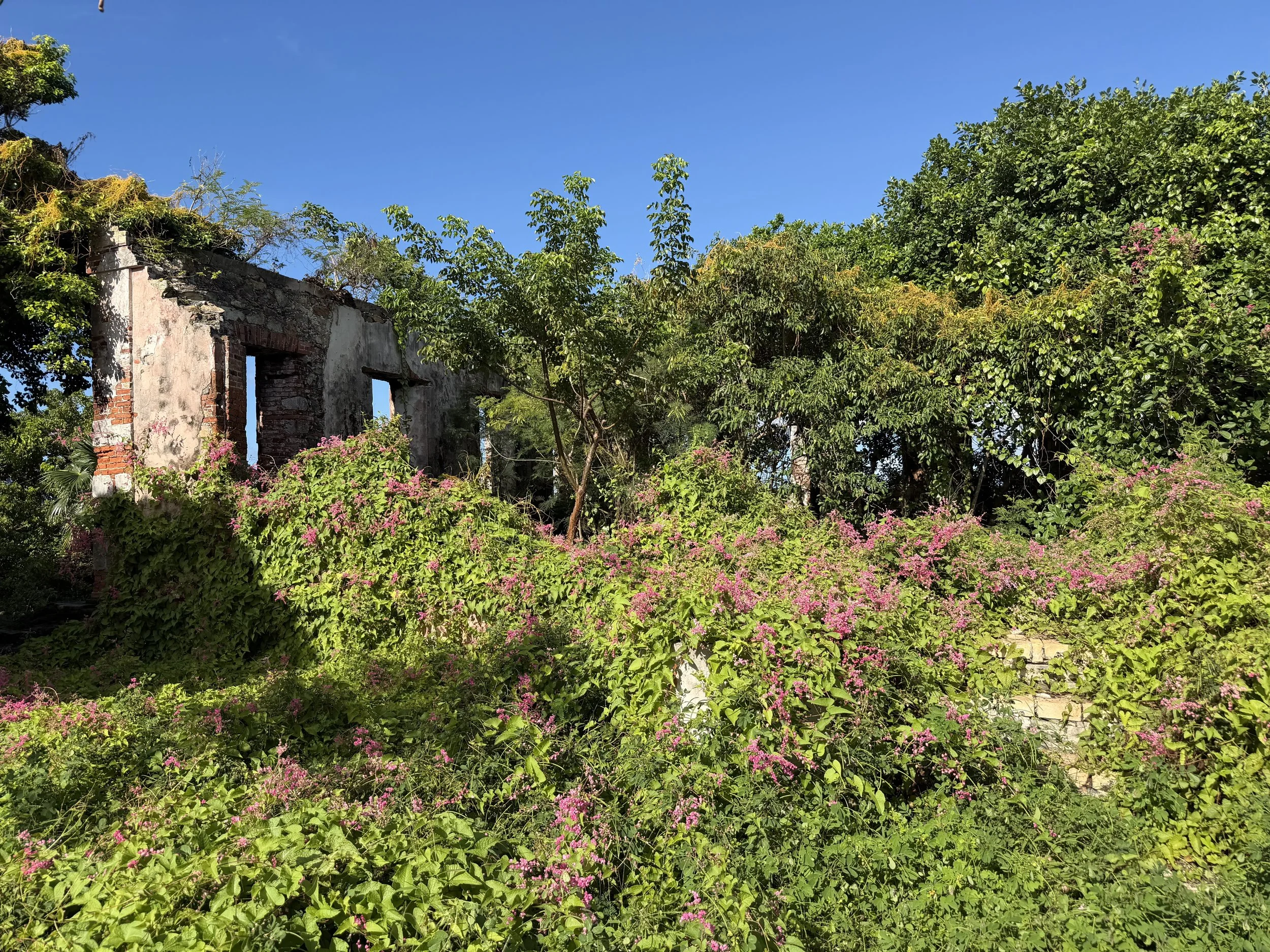 Ruins within the Estate