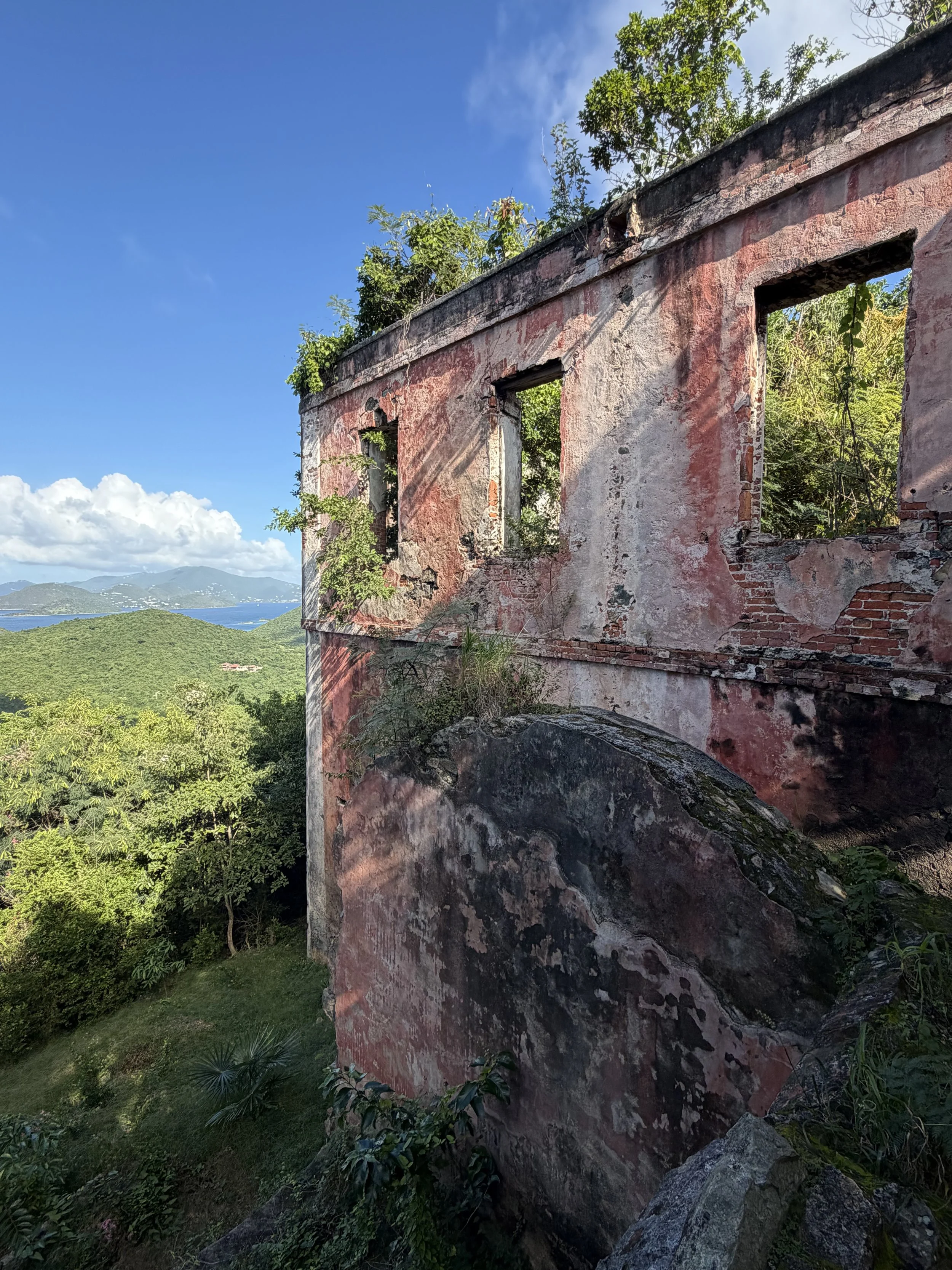 Ruins within the Estate