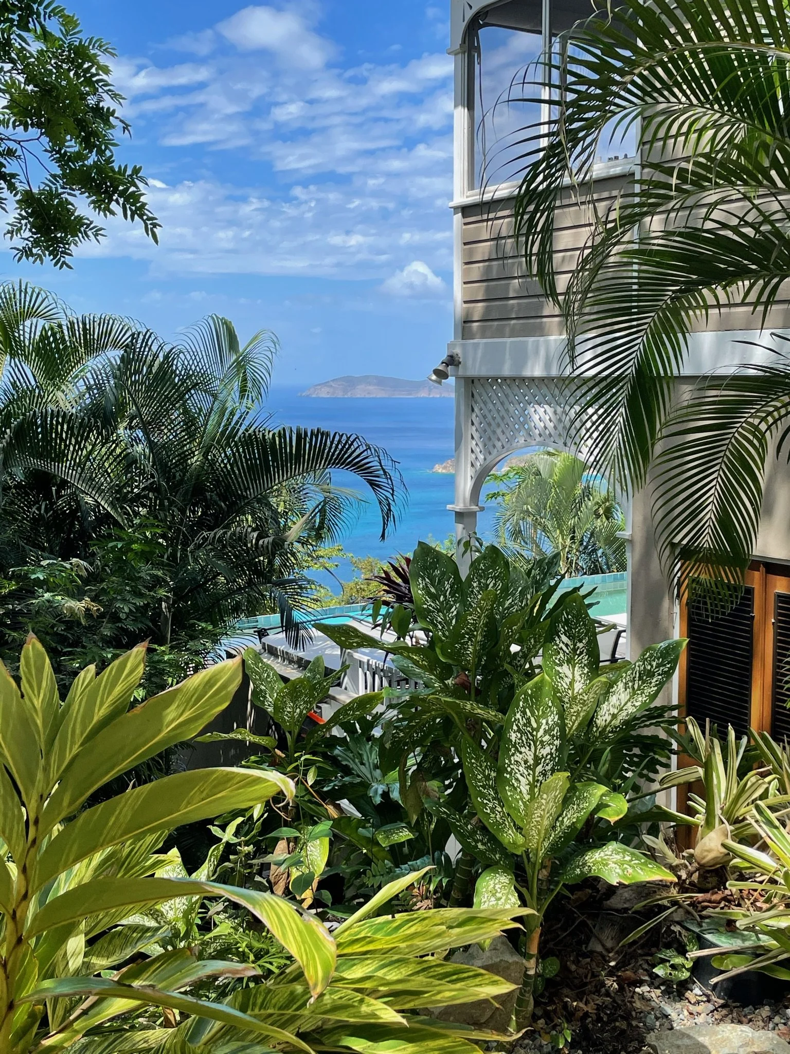 Lush foliage surrounding Villa