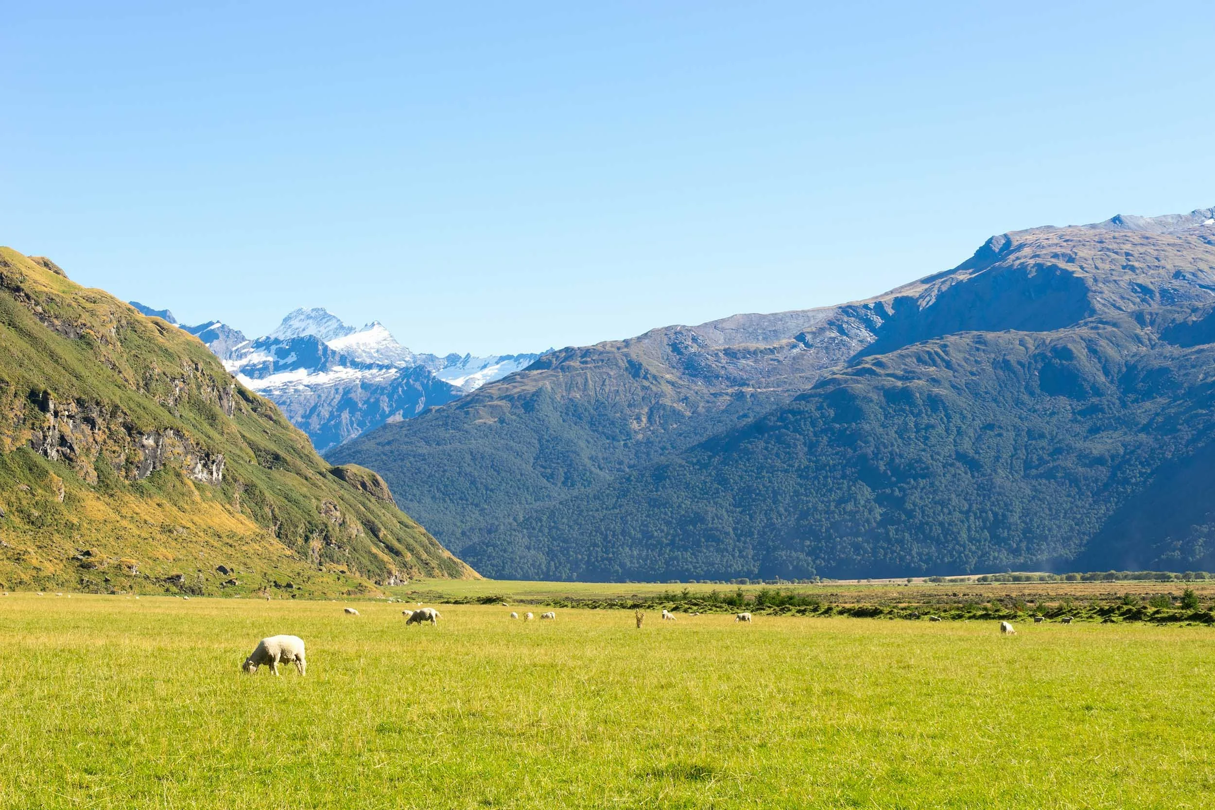 Submission – Reform of the Overseas Investment Act 2005: Facilitating productive investment that supports New Zealanders' wellbeing