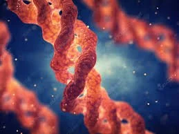 Collagen &amp; The Passage of Time: Understanding How Your Skin Changes and How to Support It