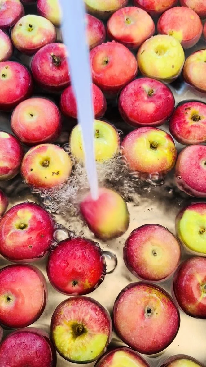 Se mettre en mouvement