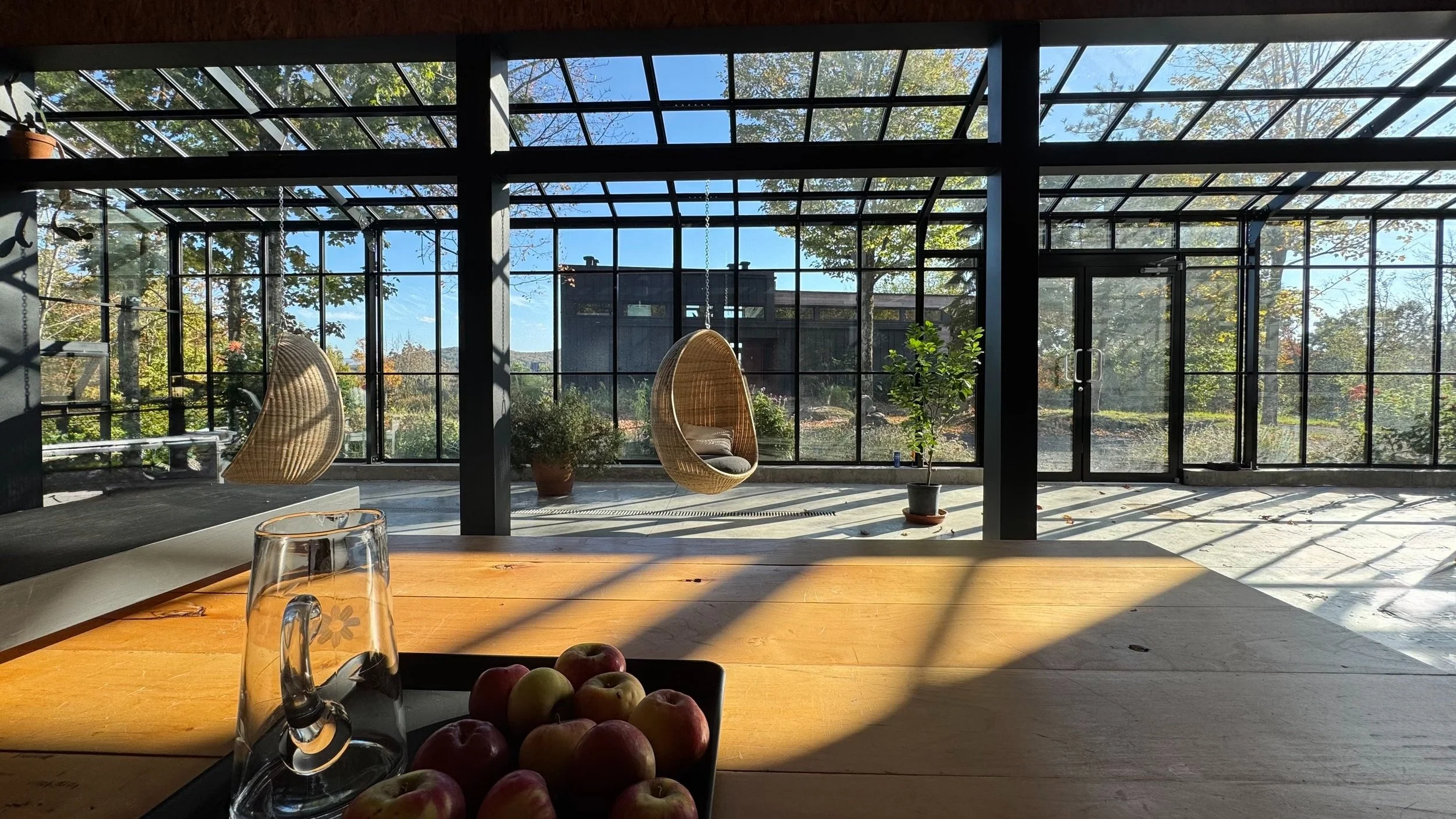 Une véranda en bois avec de grandes fenêtres en verre, un fauteuil suspendu en osier, des plantes en pot, une table en bois avec des pommes, et un décor naturel visible dehors avec des arbres et un ciel bleu.