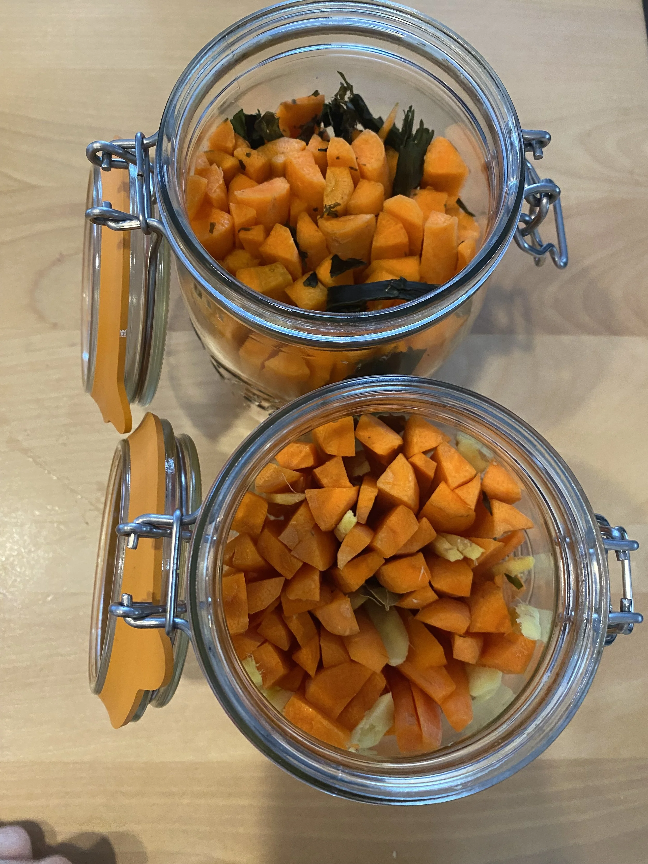 ATELIERS INITIATION À LA LACTOFERMENTATION