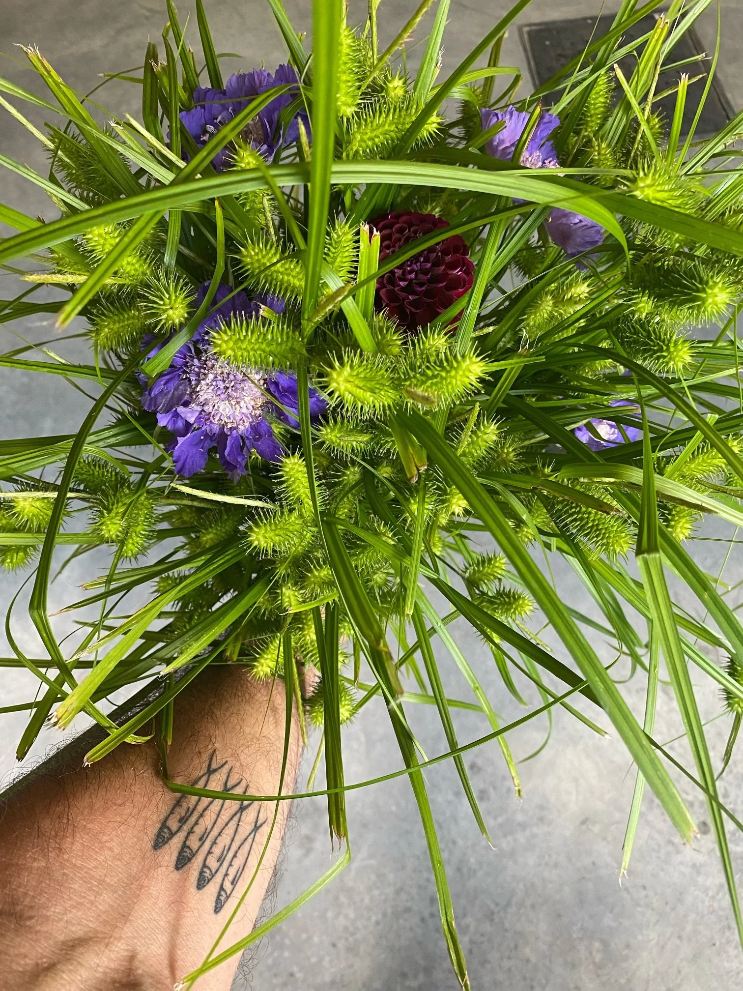 Un bouquet de fleurs violettes, rouges et vertes avec de longues feuilles et des bractées pointues.