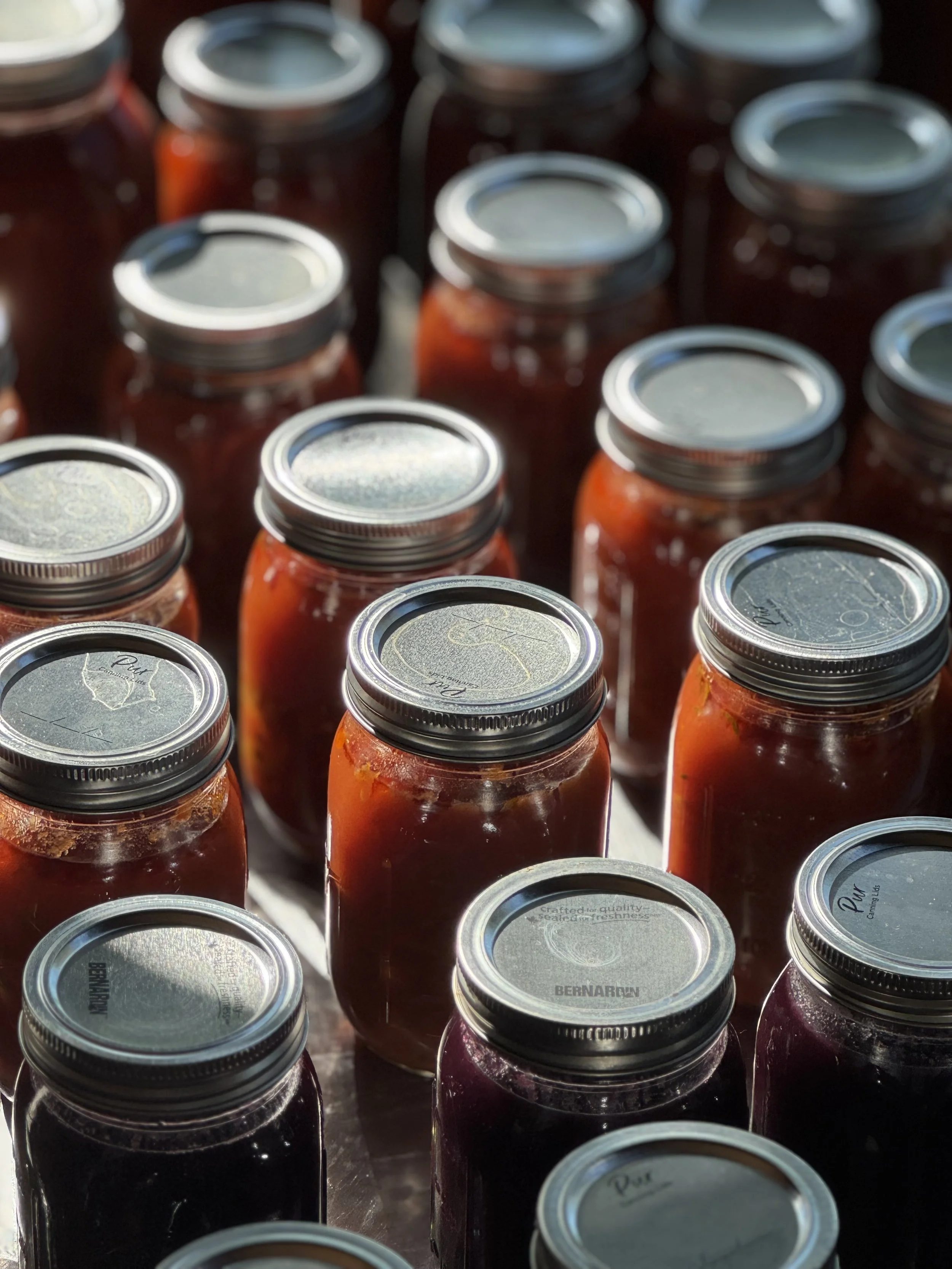 Bocaux en verre contenant des conserves ou des confitures, vus de dessus, exposés au soleil.