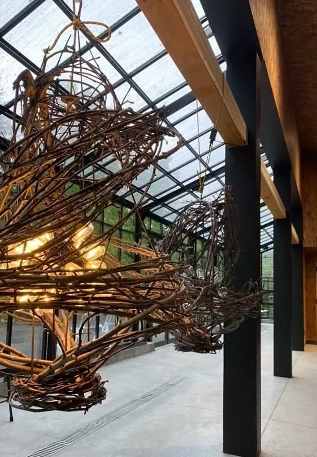 Installation artistique de branches tordues en forme de vol d'oiseaux dans une serre ou un espace intérieur en verre.
