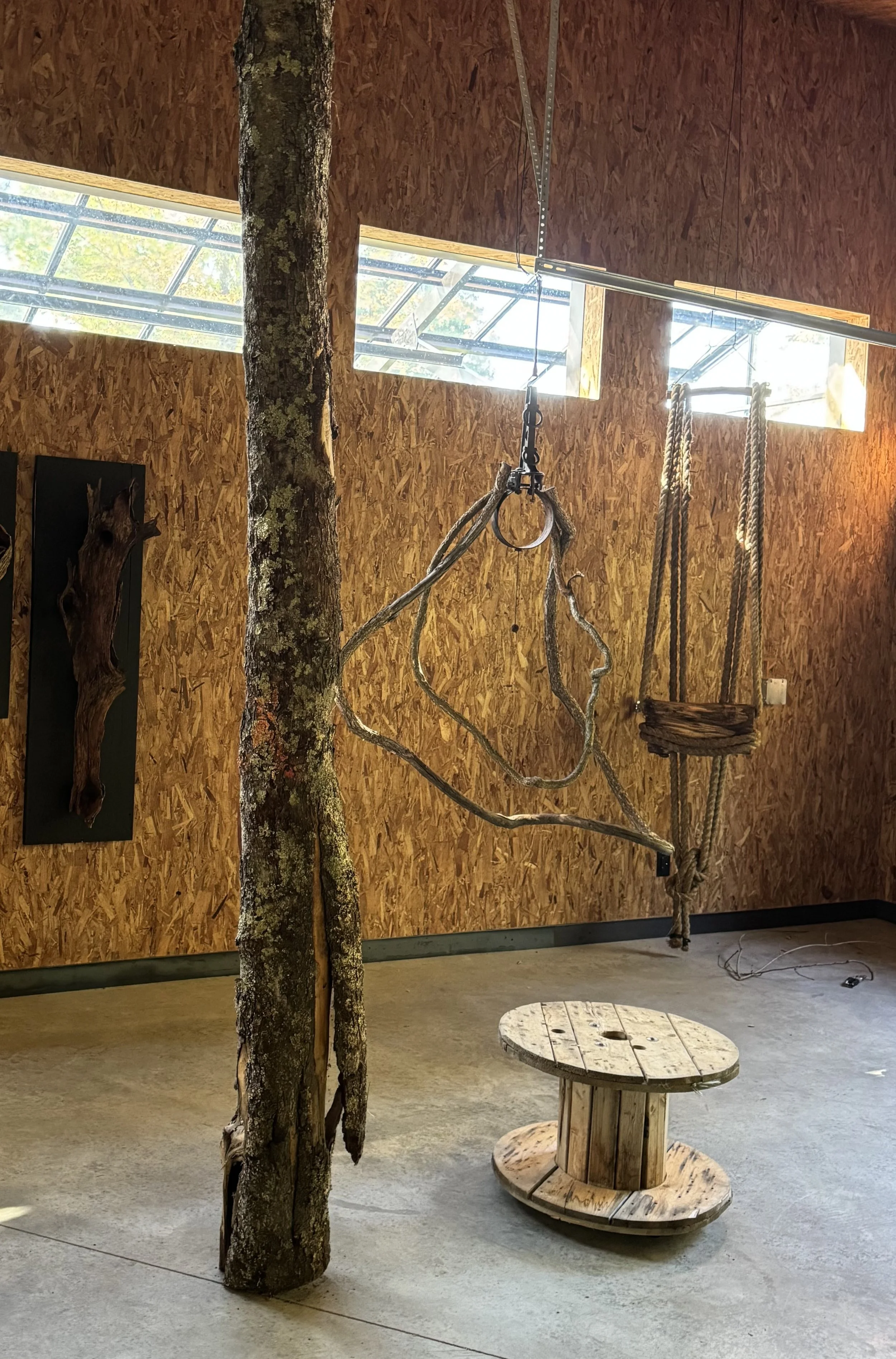 Intérieur rustique avec un arbre, un moule de bois, une corde suspendue et un mur en bois aggloméré.