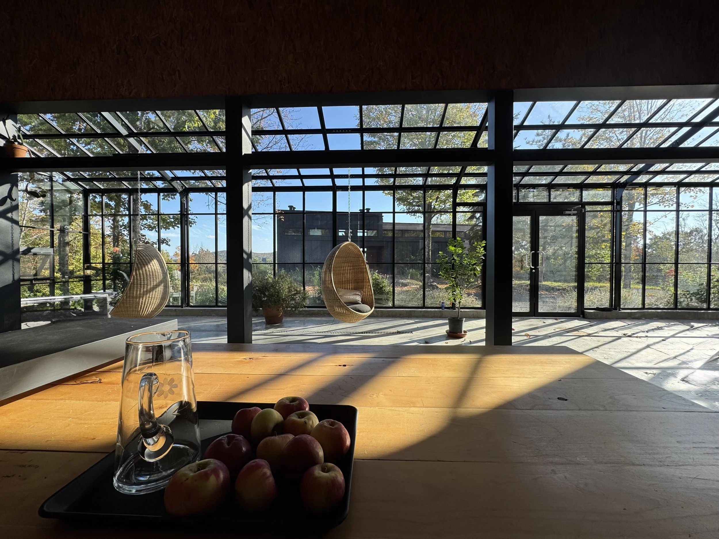 Une salle intérieure avec de grandes fenêtres en verre laissant passer la lumière du soleil, des chaises suspendues en osier, des plantes en pot et une table avec un plateau contenant des pommes et un pichet en verre.
