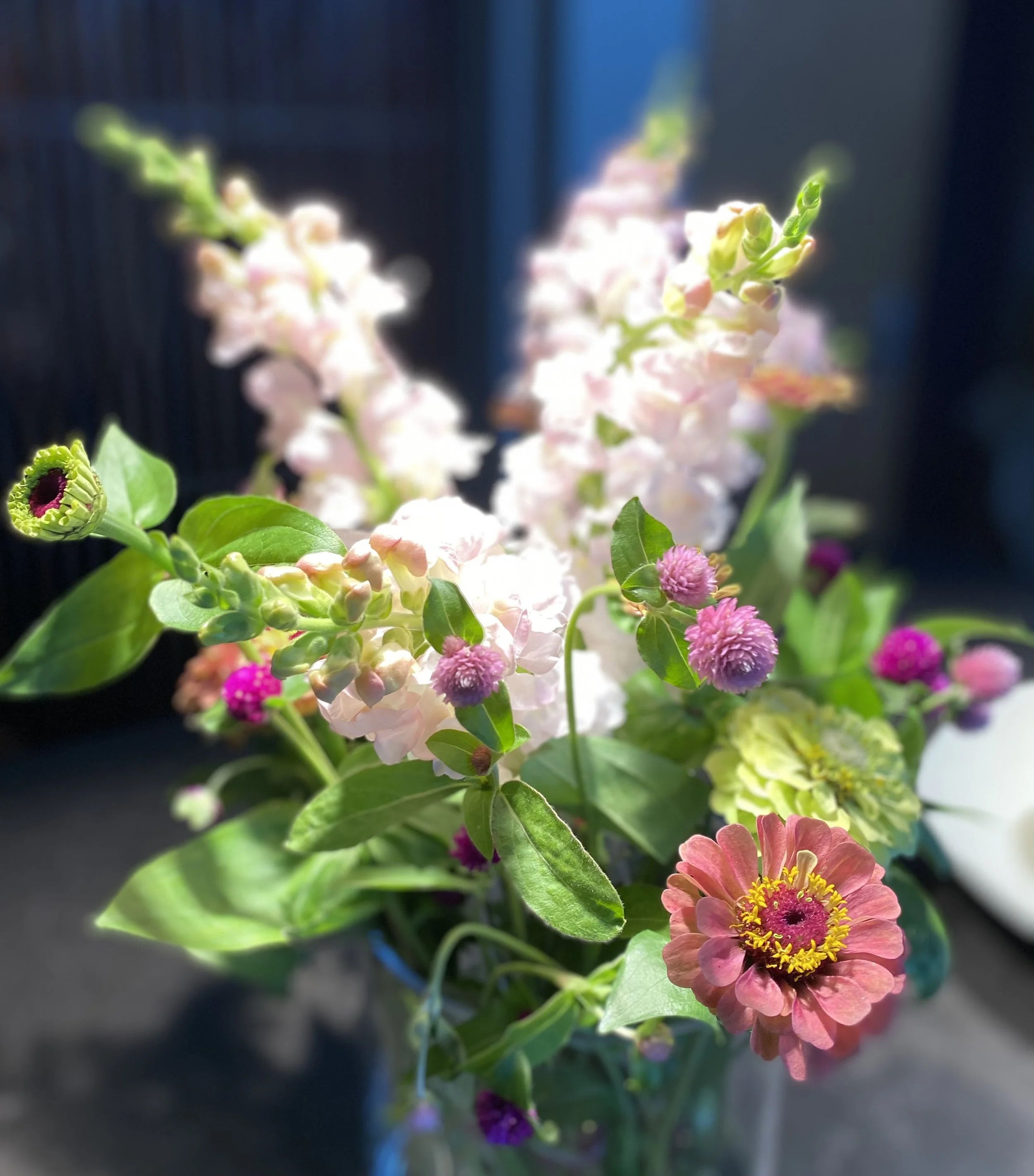 IMG_5611.jpeg