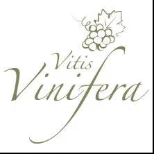 logo Vitis Vinifera.jpg