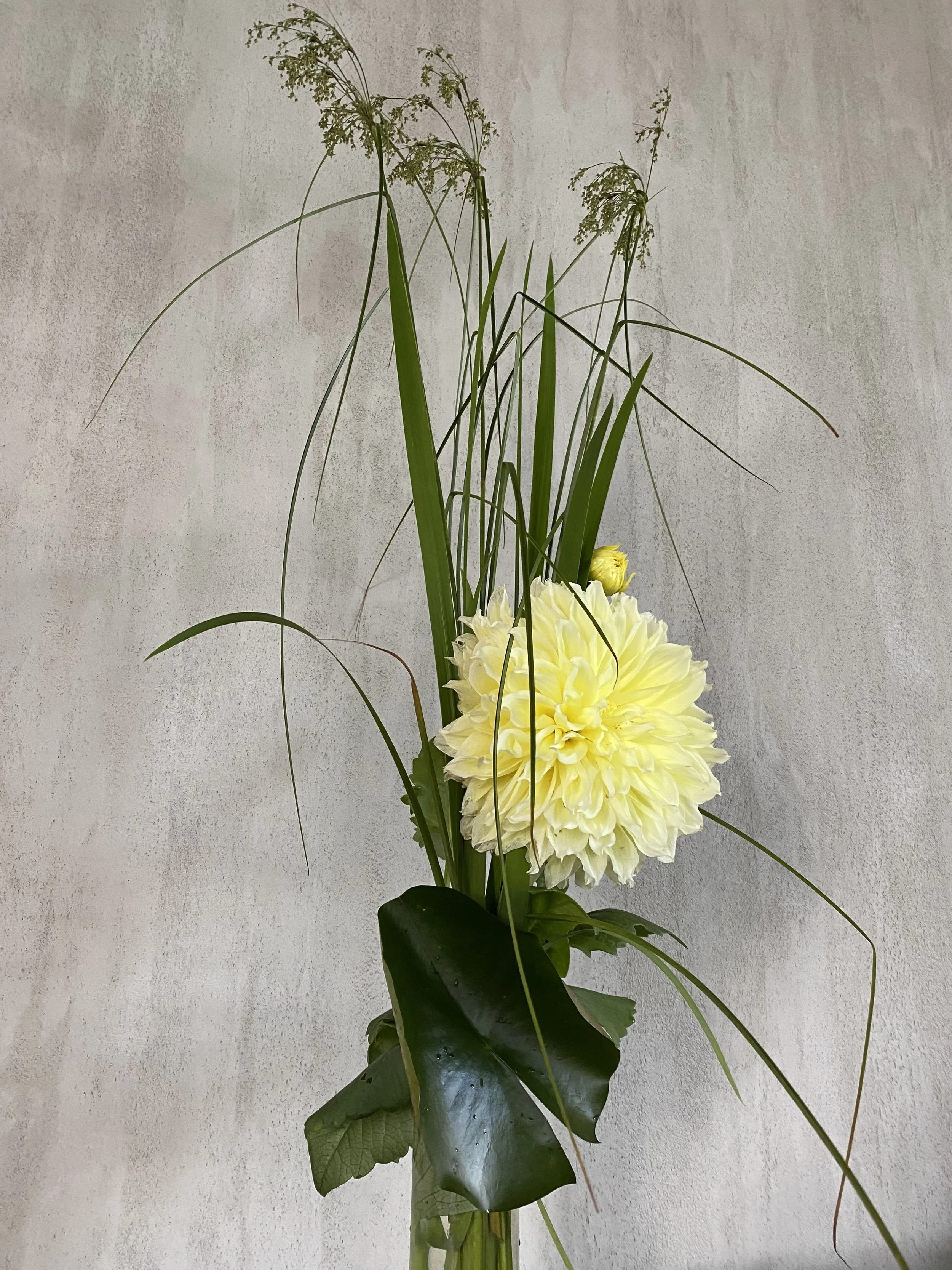 Un arrangement floral avec une grande fleur jaune pâle ressemblant à une dahlia, accompagnée de longues feuilles vertes, de fines tiges d'herbes et de grandes feuilles vertes foncées, contre un mur clair.