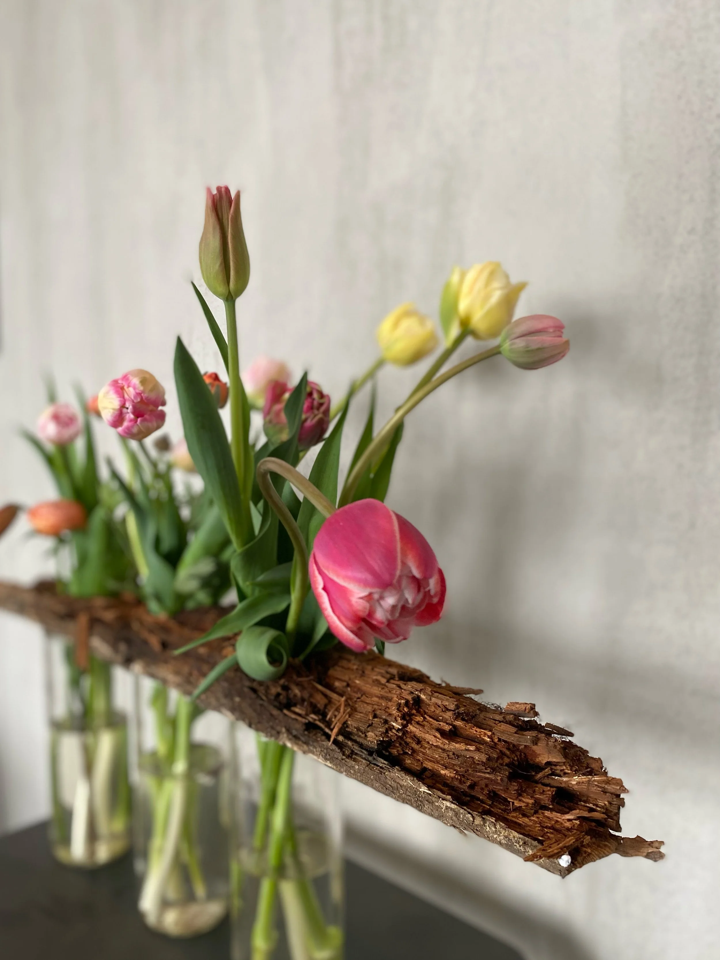 Arrangement floral avec tulipes roses, jaunes, et roses, fixée sur un morceau de bois, dans des vases en verre.