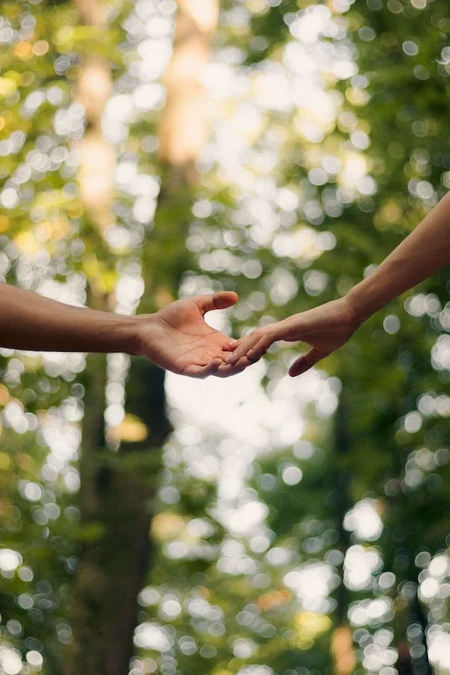 hands reaching for each other with a blurry forest background