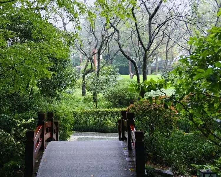 A bridge in the middle of a green garden.