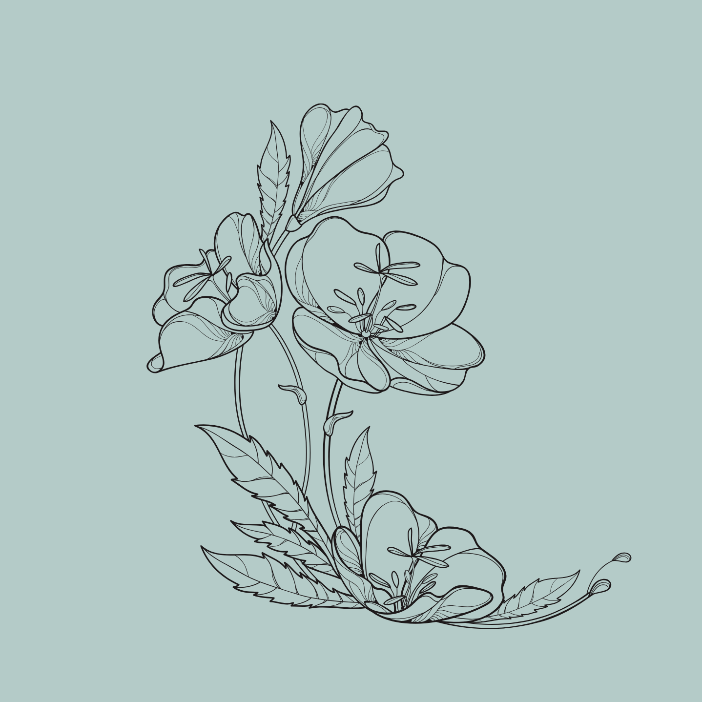 Line drawing of flowers with leaves on a light blue background.