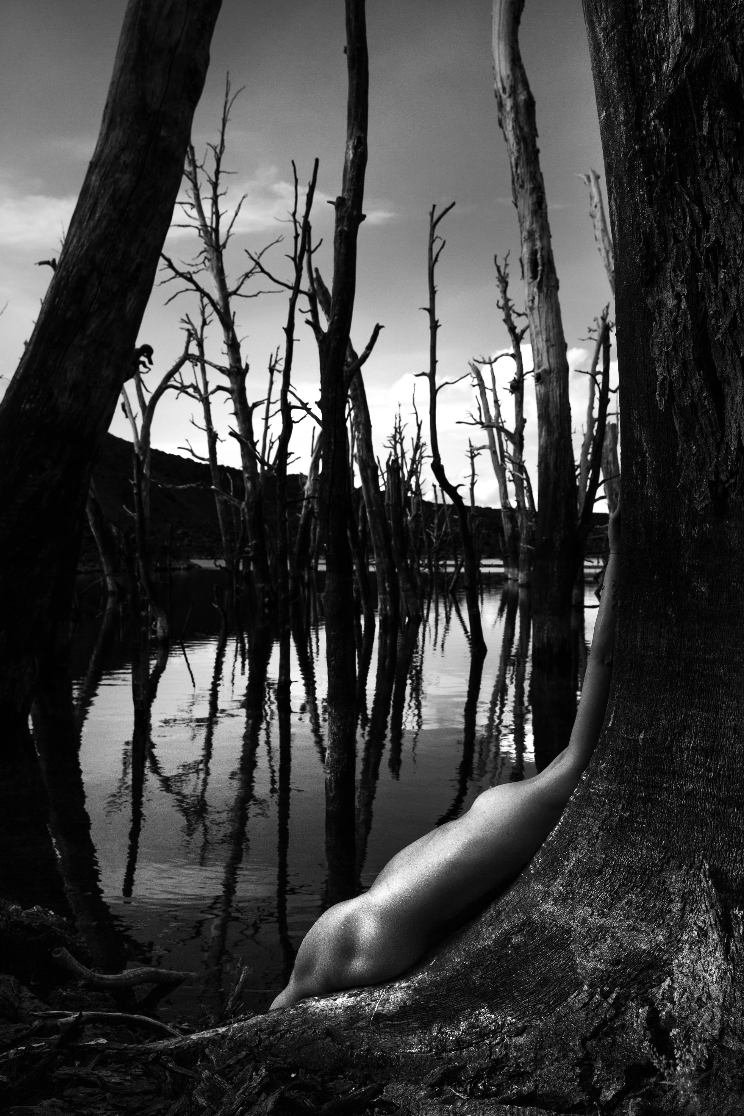 Malalcahuello Portada