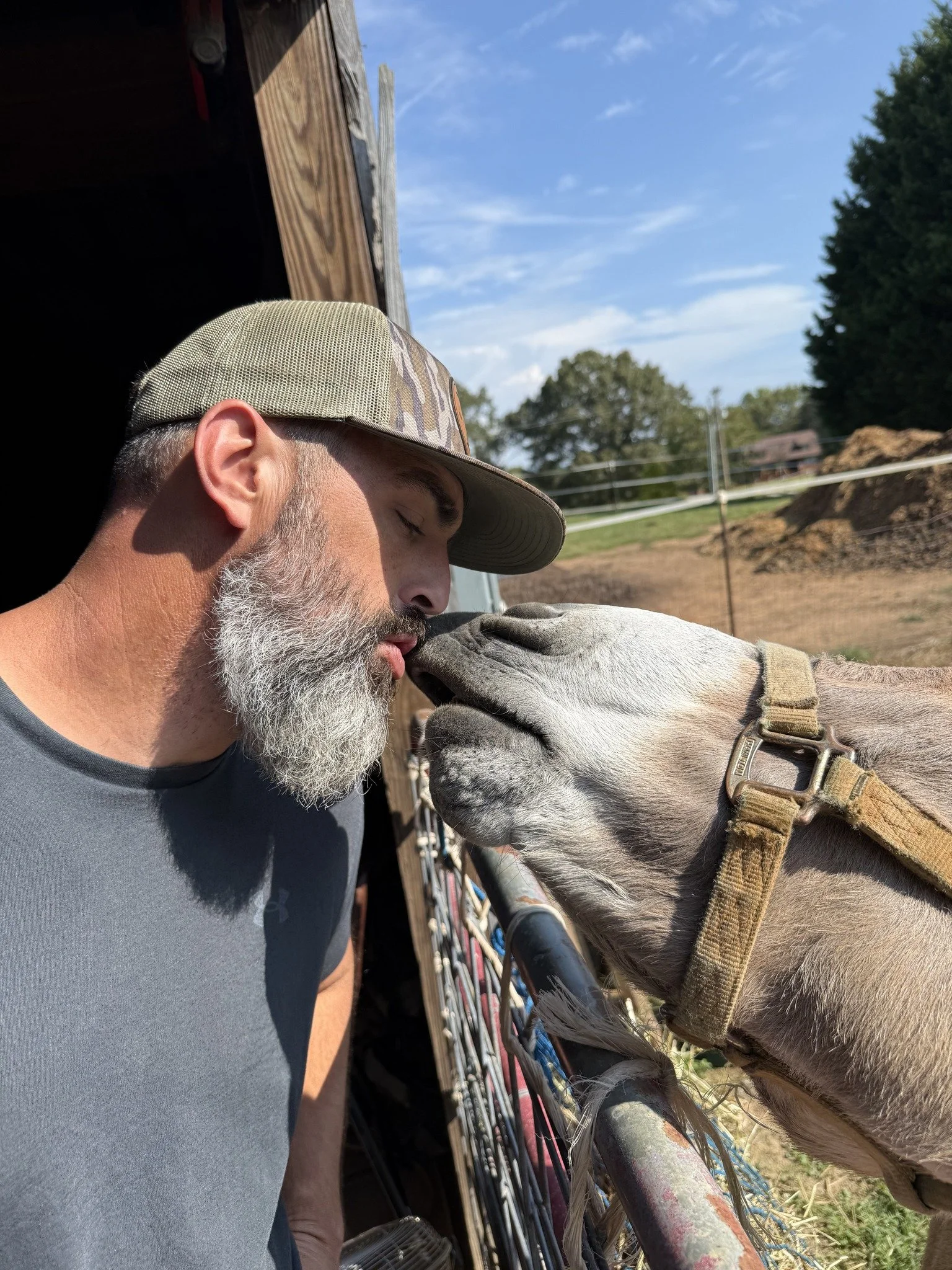 A man with a gray beard and a cap touching noses with a light-colored horse through a fence on a farm, with blue sky and trees in the background.