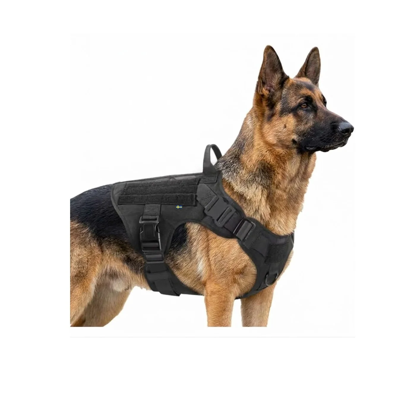 K9 Hundsele