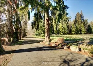 Road leading to 2125 118th Ave E Edgewood WA 97372