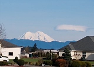 Tree top view of Mt. Rainier at 112 Skyhawk Dr, Toledo WA 98591