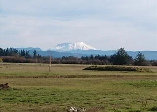 Field view of Mt. Rainier at 112 Skyhawk Dr. Toledo WA 98591