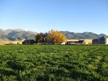 Open farmland with green grass, a few trees with fall foliage, farm buildings, and mountains in the background under a clear blue sky.