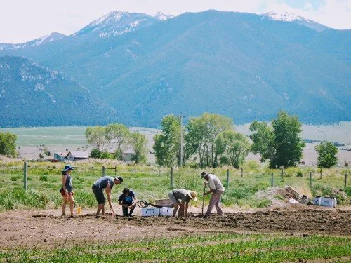People working in a field with a mountain range in the background.