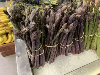 Bunches of fresh purple and green asparagus tied with rubber bands on a countertop in a grocery store.
