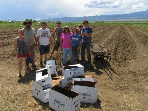 Group of people standing in a farm field with empty boxes and a wheelbarrow.
