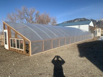 A large, clear greenhouse with a wooden frame and transparent plastic panels, situated on a dirt yard with a blue sky and some trees in the background.