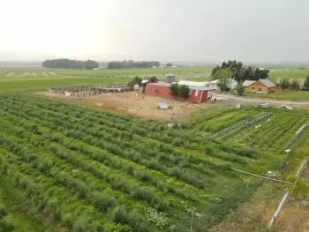 A rural farm landscape with green fields, a red barn, and farm buildings on a sunny day.