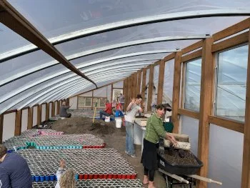People working inside a greenhouse with wooden framing, tending to plants and containers.