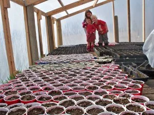 Two children in a greenhouse or plant nursery, standing near trays of seedlings or young plants on the ground.