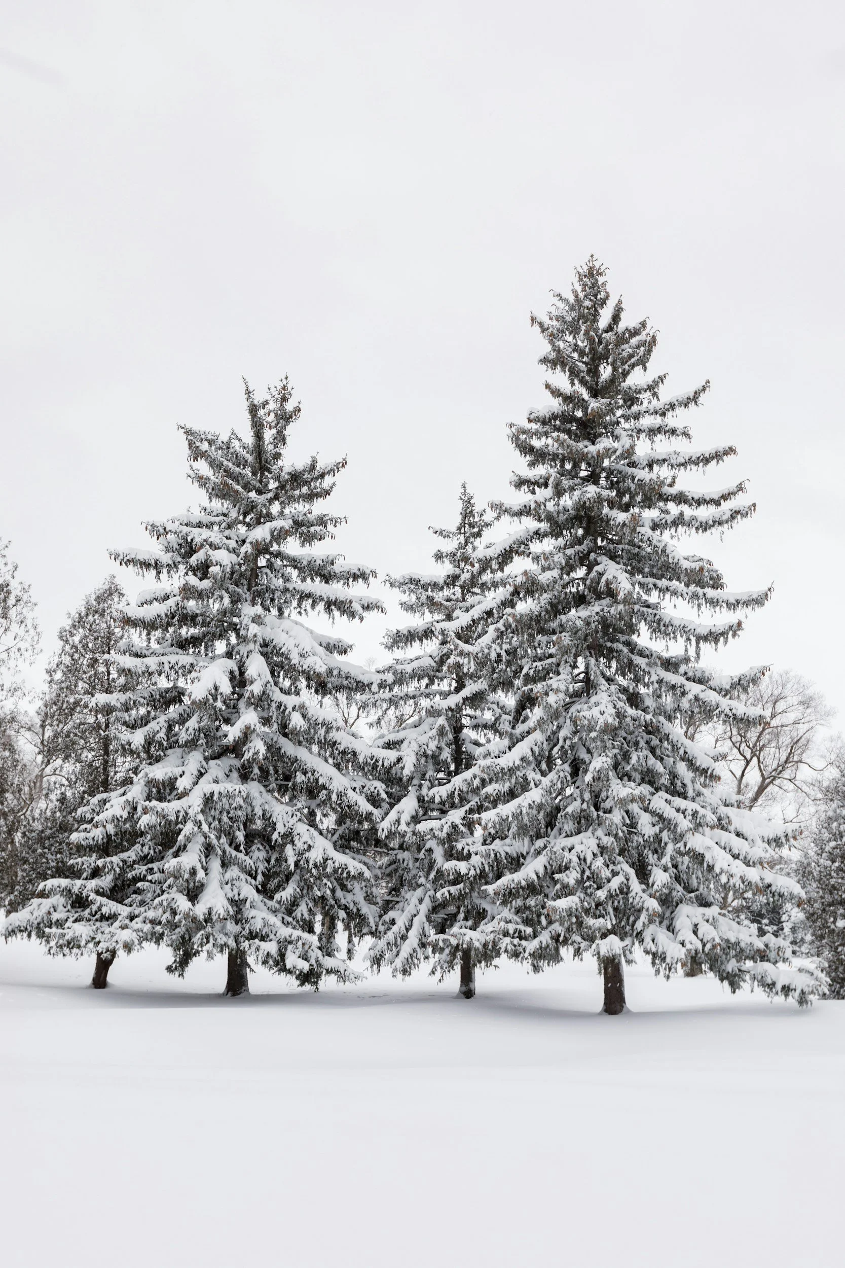 Winter Break - No School