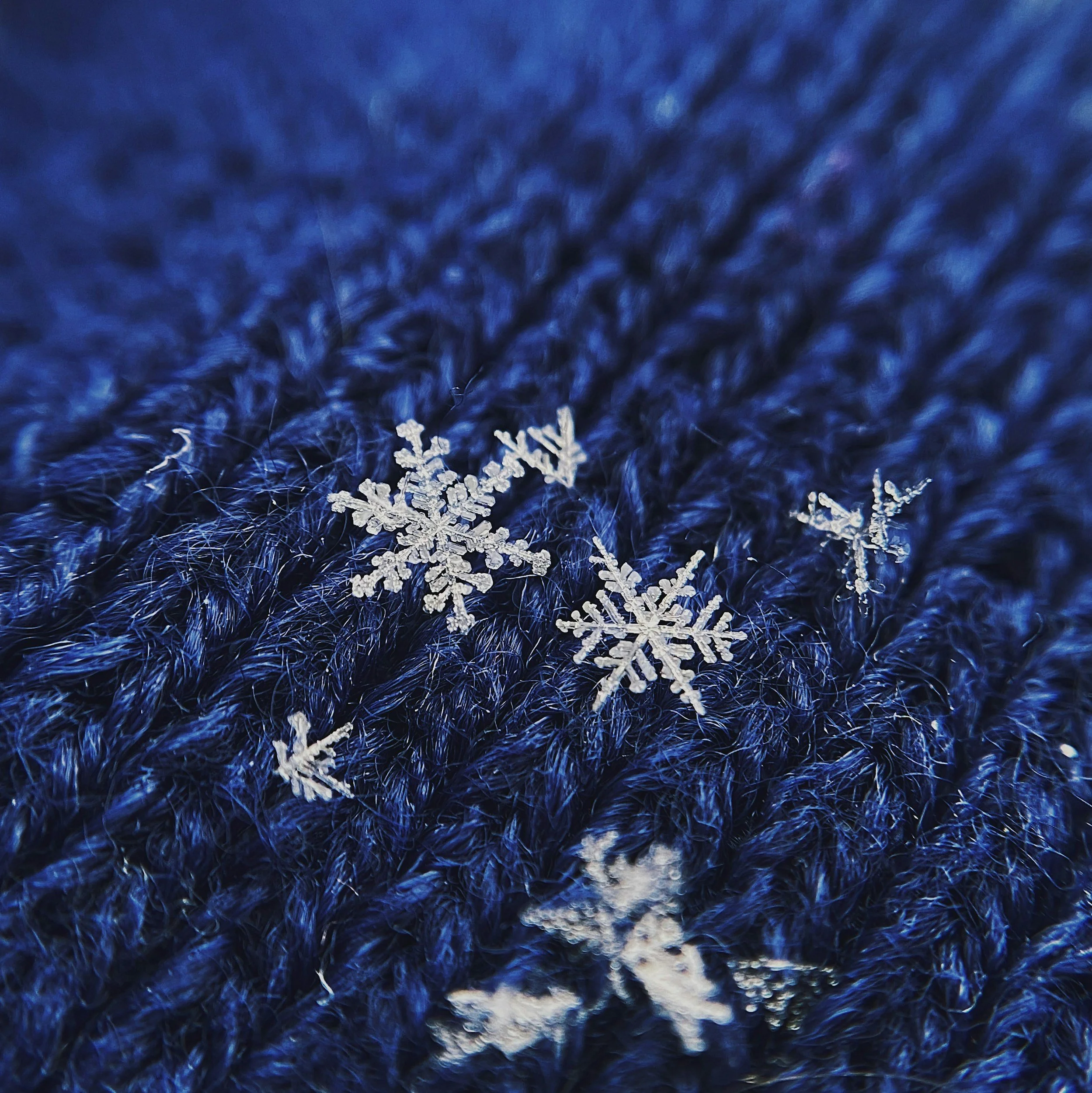 Mid-Winter Break - No School