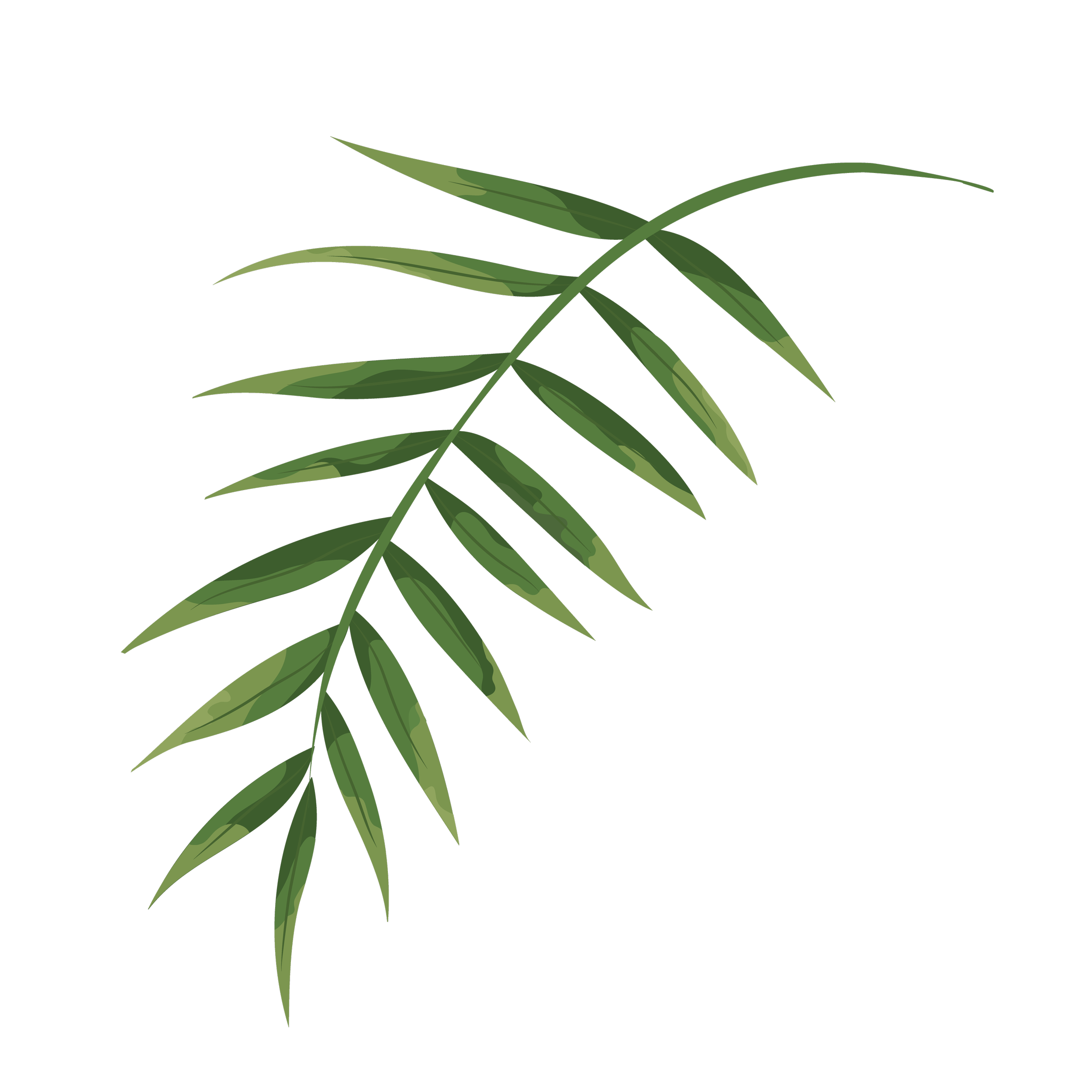 Digital illustration of a green plant with elongated leaves against a black background, partially overlapping a green square.