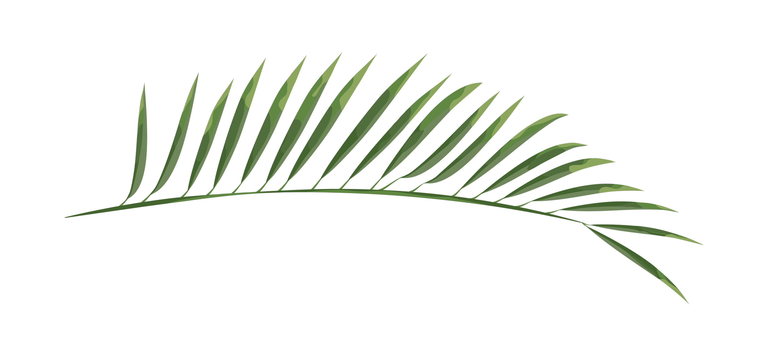 A green palm leaf against a black background.